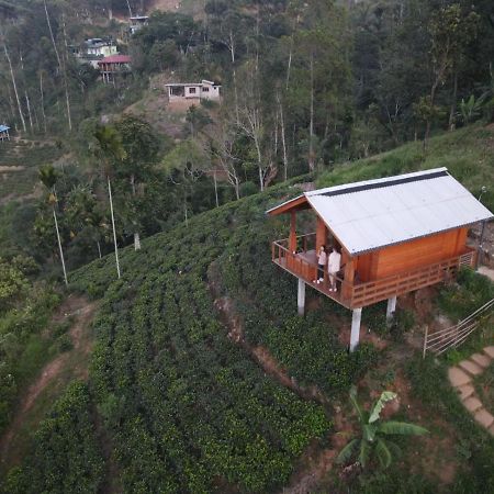 Green Nature Paradise Ella Exterior photo